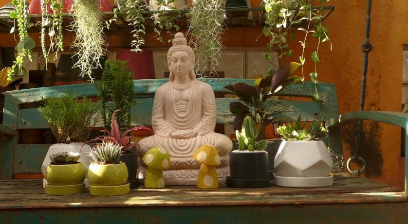 VRIKSHA NURSERY COLLABORATION