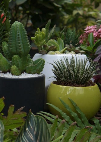 Gorgeous Indoor Planter Ideas