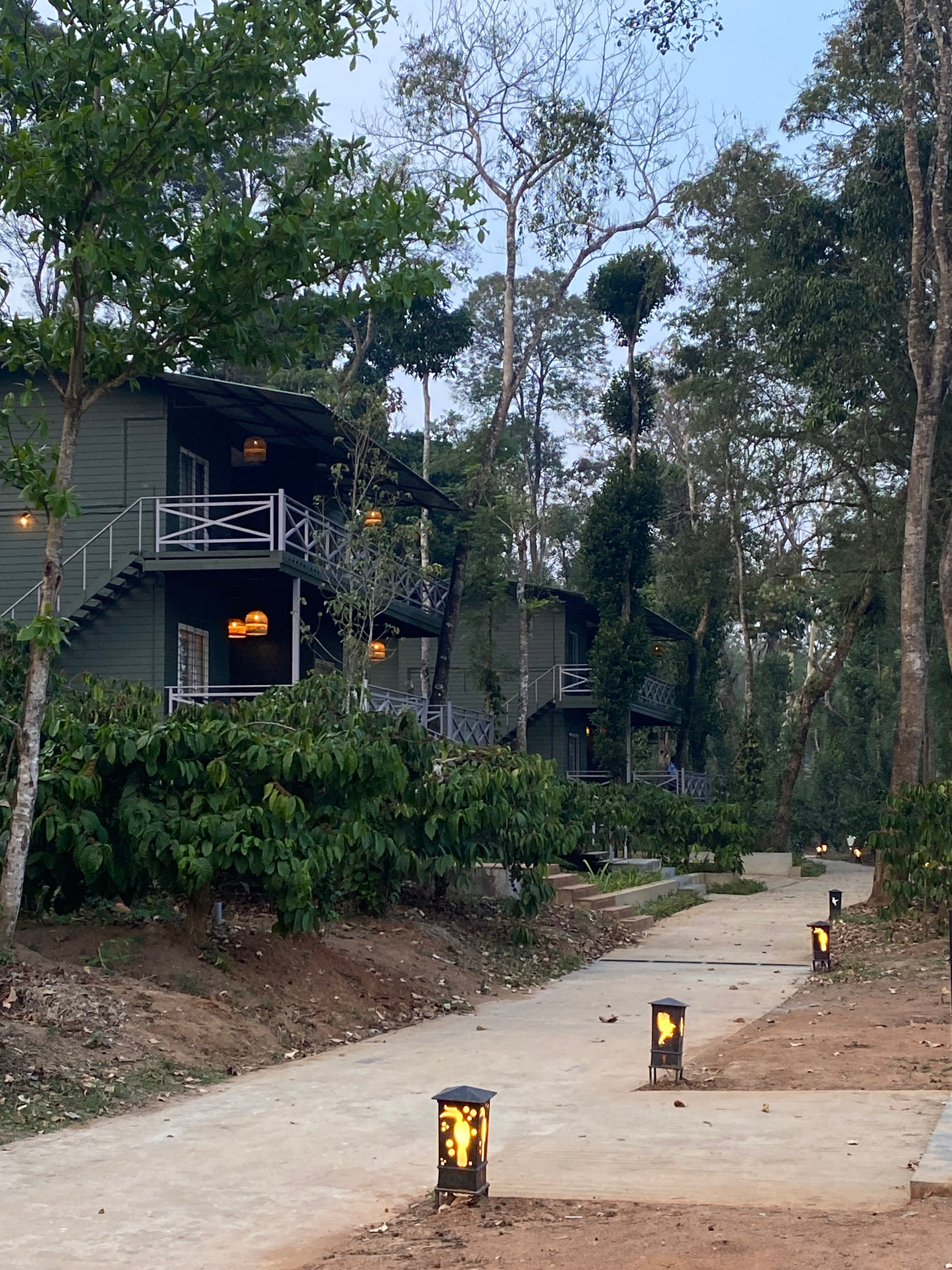 A Makeover at Machaan