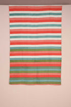 Caivu Printed Rug (Muted Multi)