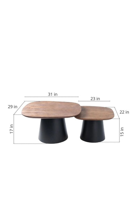 COFFEE TABLES Sarva Nested Coffee Table