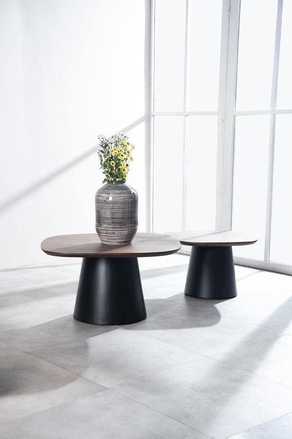Sarva Nested Coffee Table Set