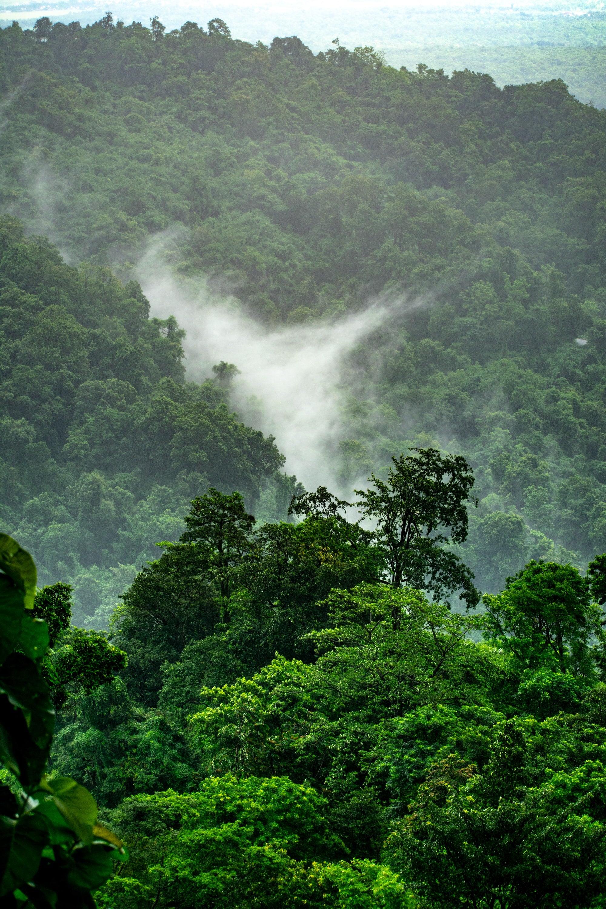 Chasing Monsoon