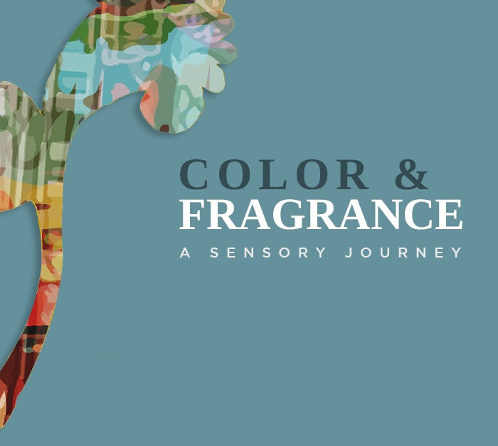 Four Fragrance Families that transform and transport us