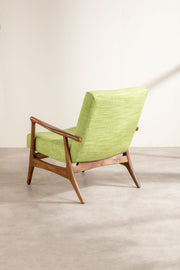 Raffia Citron Green Fabric