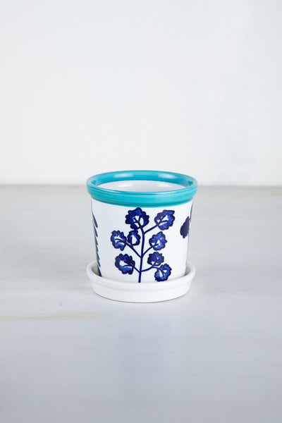 10000017444 VEG BAZAAR HERB PLANTER WITH TRAY DEEP BLUE