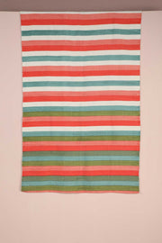 10000017798 CAIVU PRINTED RUG MUTED MULTI