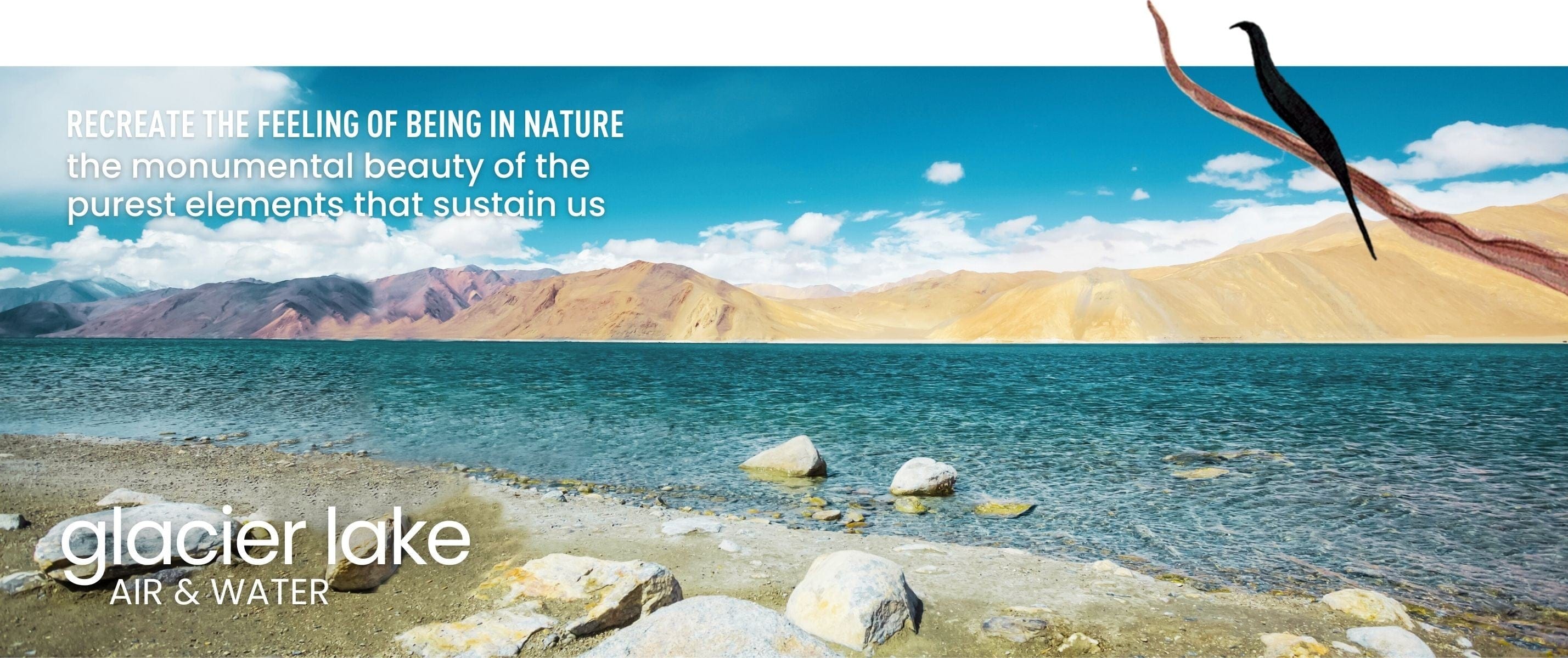 Promise to the Planet