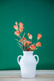 FLOWER VASE Amphora Ceramic Vase (White)