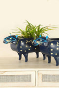 METAL PLANTERS Blue Panther Metal Metal Planter