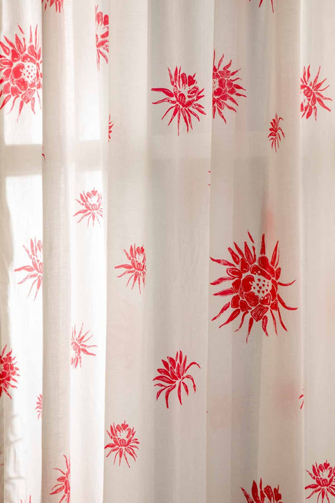 CURTAINS Brahmakamal Coral Sheer Curtain