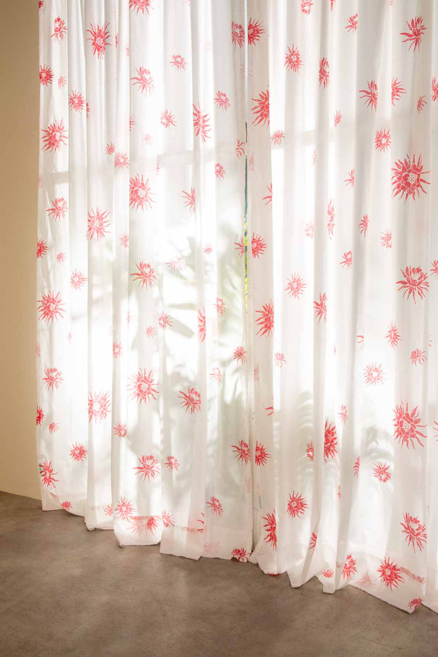 CURTAINS Brahmakamal Coral Window Curtain In Sheer Fabric