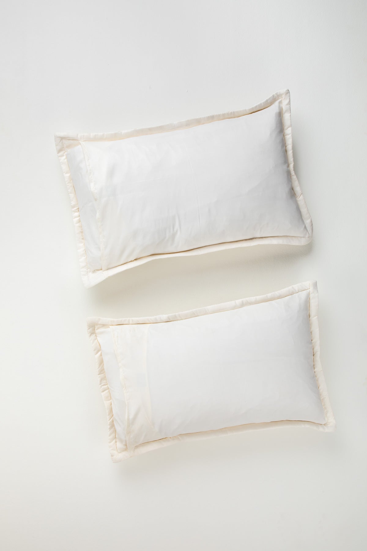 PILLOWS & SHAMS Daisy Field Ecru Pillow Cover Set (Set of 2)