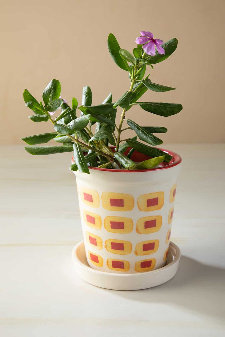 HERB PLANTERS Dash Dash Ceramic Herb Planter (Set Of 2)