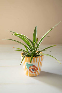 Gypsy Stripes Yellow Ceramic Herb Planter
