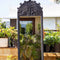 Monkii Palm Hand Carved Wall Mirror