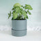 Nested Ceramic Large Planter With Tray