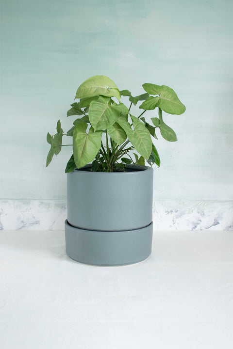 LARGE PLANTERS Nested Ceramic Large Planter With Tray