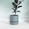 Nested Ceramic Medium Planter With Tray