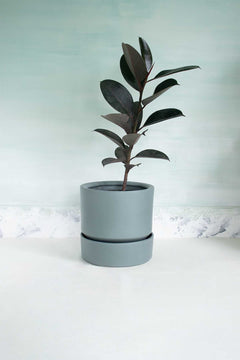 Nested Ceramic Medium Planter With Tray