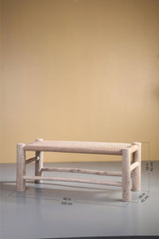 BENCHES Neura Bench (White Washed)