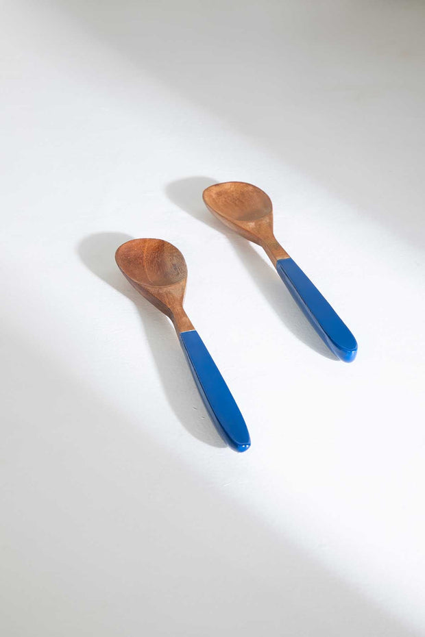 SERVING CUTLERY Painted Blue Serving Spoon (Set of 2)