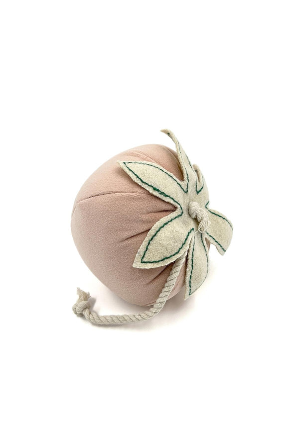 Pawberry Plush Dog Toy