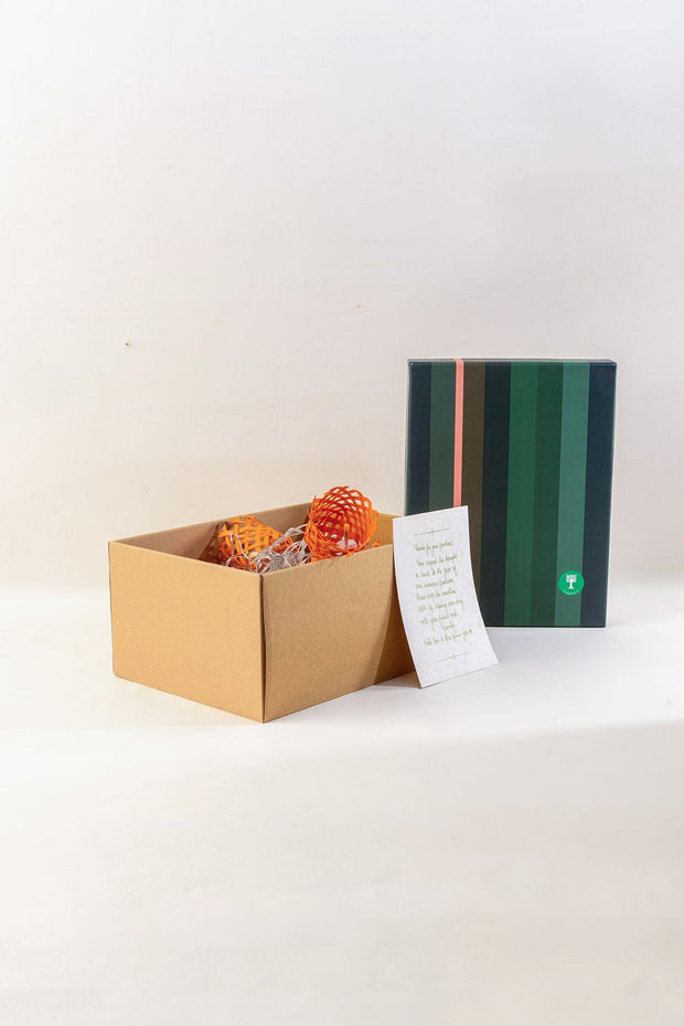 STRING LIGHTS Reva Orange String Light