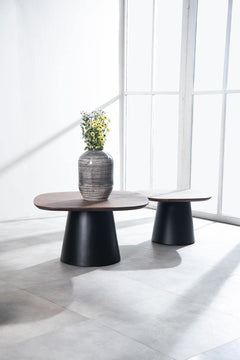 Sarva Nested Coffee Table Set