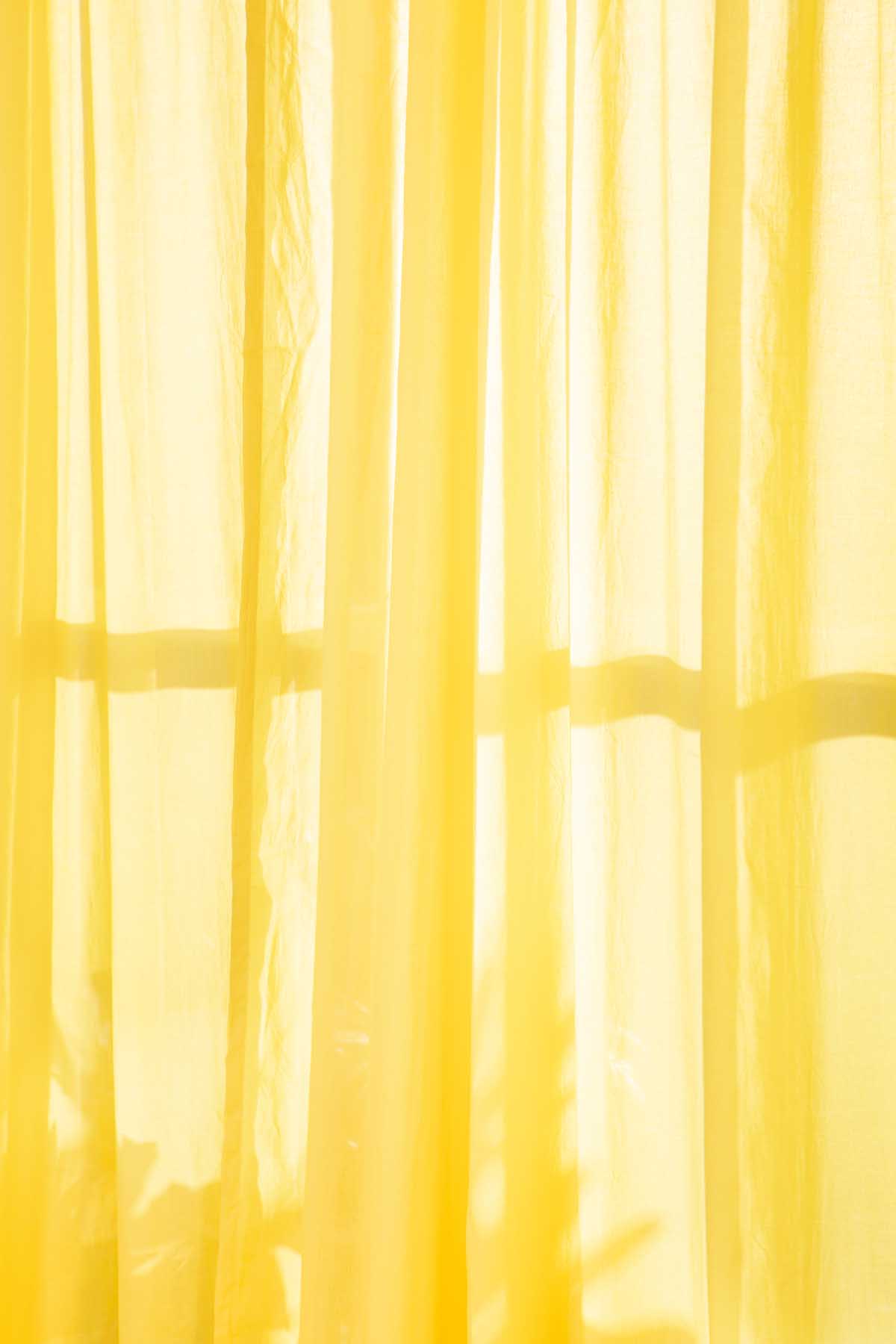 CURTAINS Solid Mustard Sheer Curtain