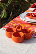 DINING ACCESSORIES Solid Orange Spice Set