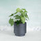 Strata Footed Ceramic Planter