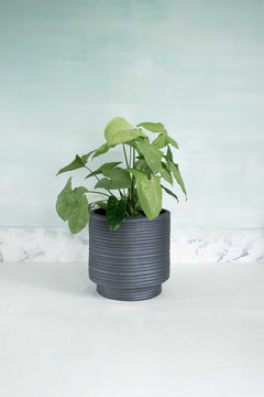Strata Footed Ceramic Planter