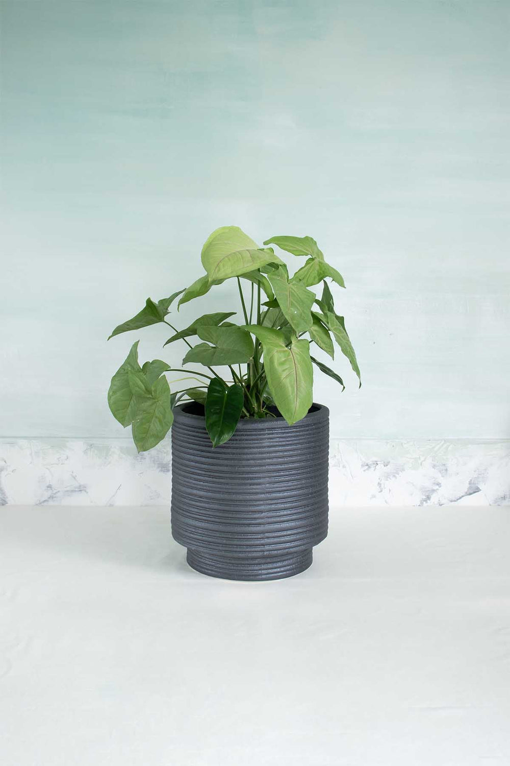 Strata Footed Ceramic Planter