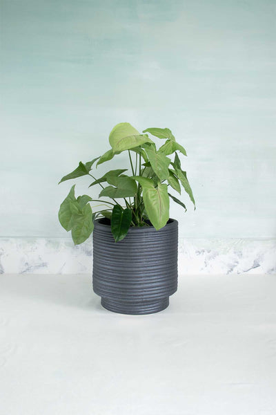 LARGE PLANTERS Strata Footed Ceramic Planter