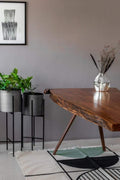 DINING TABLES Swerve Live Edge Acacia Wood And Metal Dining Table