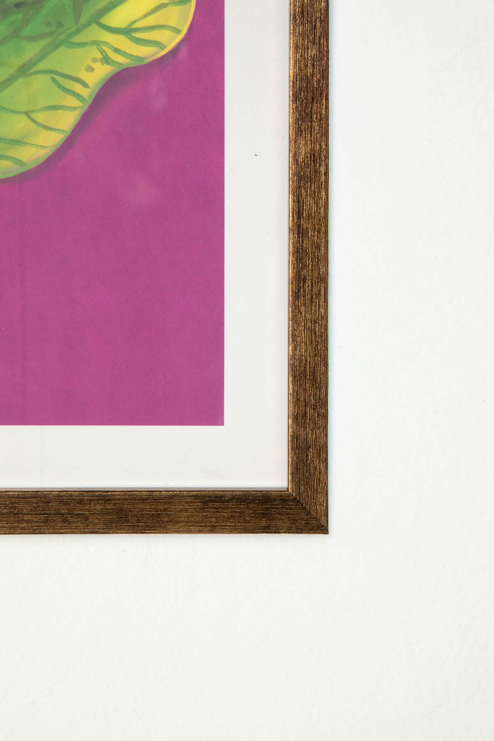WALL ACCENTS The Beetroot Blush Wall Art (Pink)