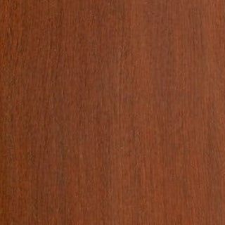Medium Acacia