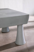 COFFEE TABLES Low Asian Coffee Table (Washed Grey)