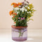 Mod Pod Vase
