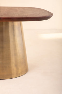 COFFEE TABLES Sarva Mango Wood And Dull Brass Nested Coffee Table Set
