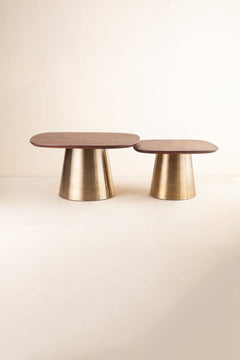 COFFEE TABLES Sarva Mango Wood And Dull Brass Nested Coffee Table Set