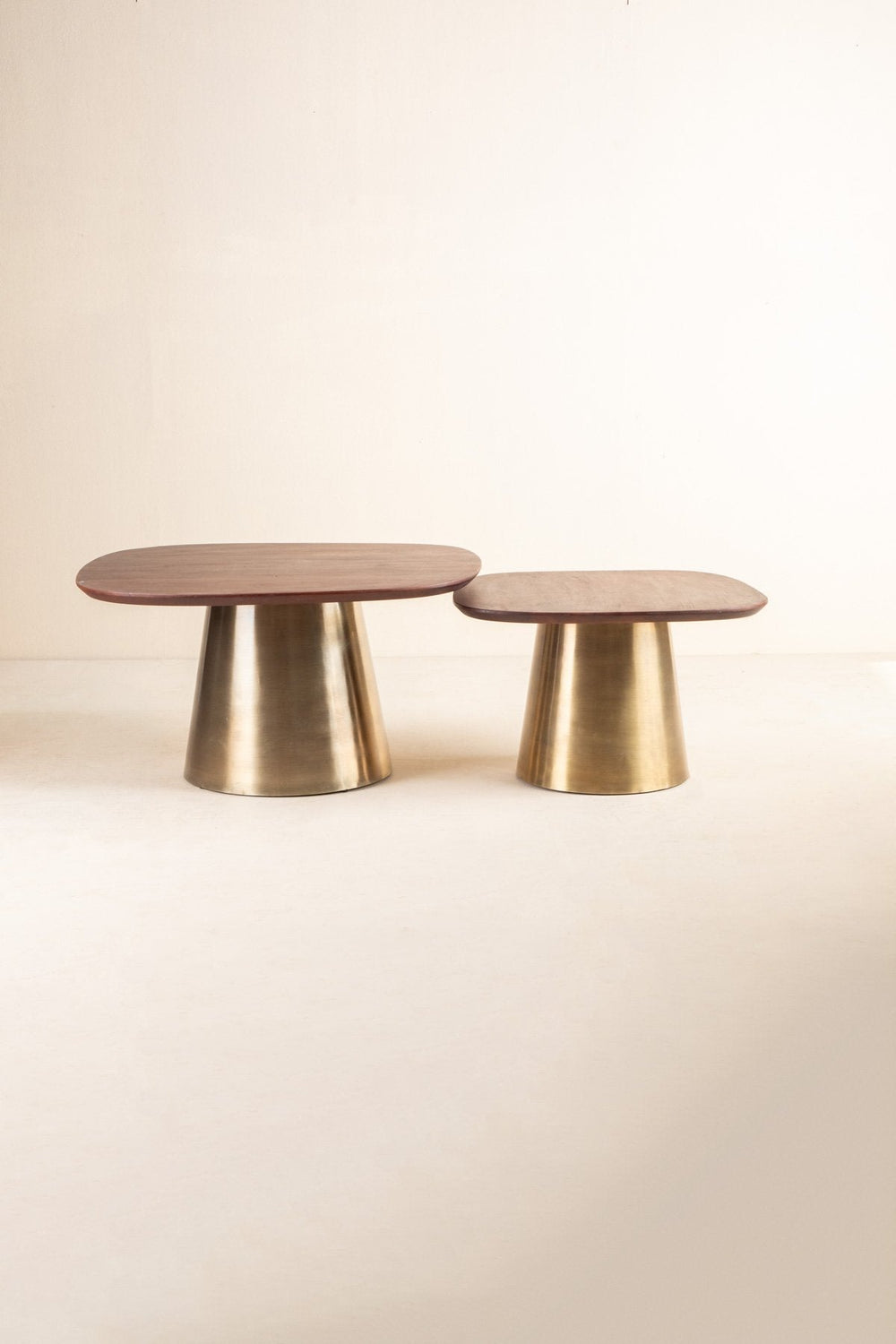 COFFEE TABLES Sarva Mango Wood And Dull Brass Nested Coffee Table Set