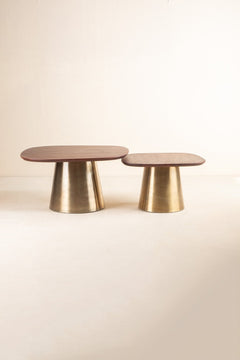 COFFEE TABLES Sarva Mango Wood And Dull Brass Nested Coffee Table Set
