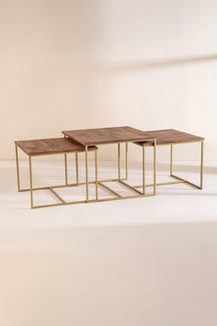 COFFEE TABLES Trilogy Nested Coffee Table Set (Walnut)