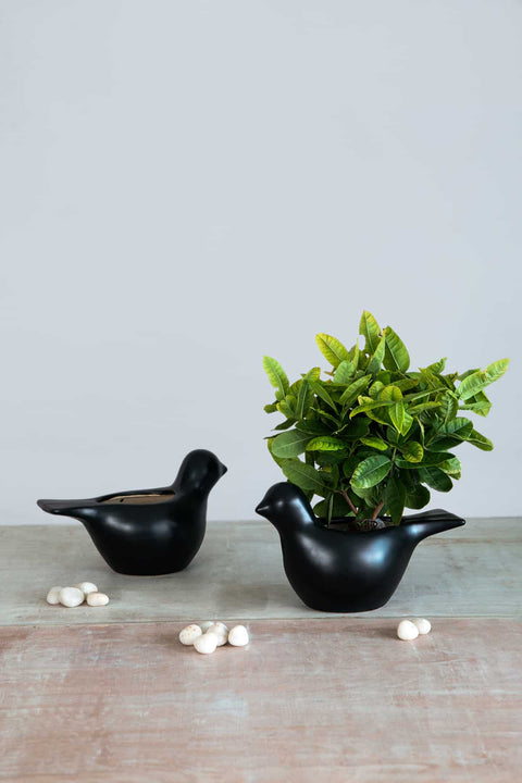 PLANT POTS Freebird Herb Planter (Blue /Matt Black)
