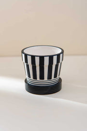 PLANT POTS Zebra Crossing Small Planter with Tray