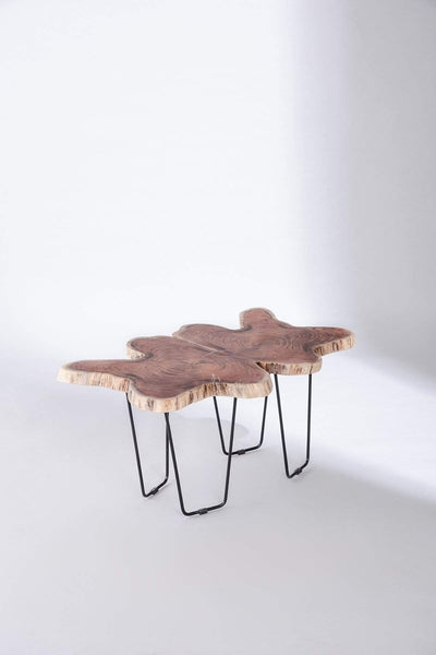 COFFEE TABLE Butterfly Live Edge Coffee Table (Acacia Wood)