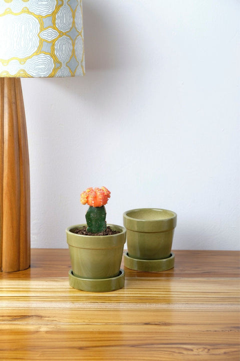 PLANT POTS Ombre Olive Herb Planter With Tray (Set Of 2)