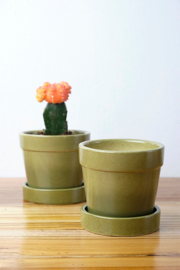 PLANT POTS Ombre Olive Herb Planter With Tray (Set Of 2)